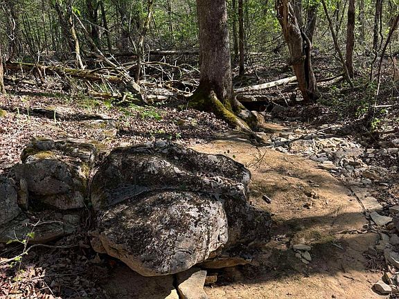 2nd image of 47A County Road 113