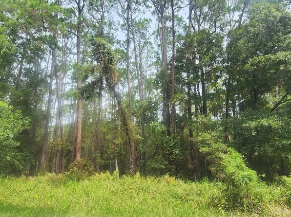 422 Dogwood Ave, Georgetown, FL 32139