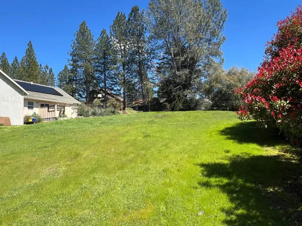 338 Wyldewood Dr, Murphys, CA 95247