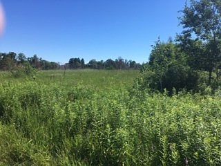 3rd image of XXX Cty C Road