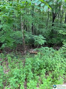 Faber Circle 42 #40-41-43, Tannersville, PA, 18372