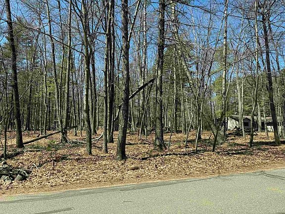 3rd image of Trailwood Dr