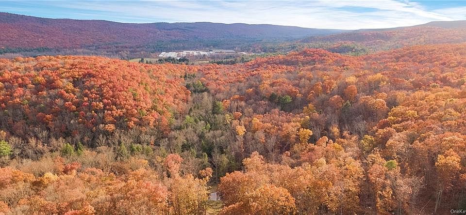 2nd image of Adams Rd