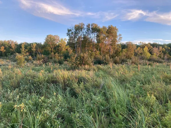 X Merlin Rd, Milaca, MN 56353