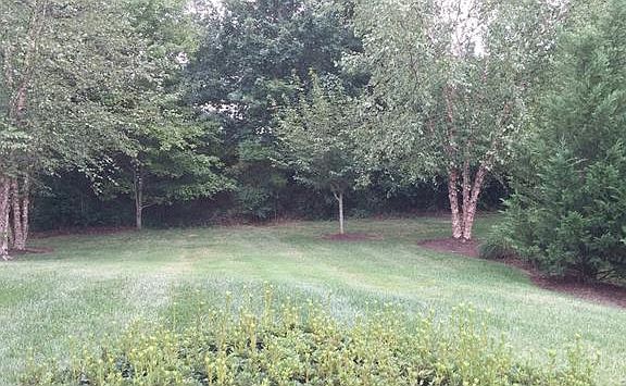 2nd image of 2531 Wanstead Ct #2531