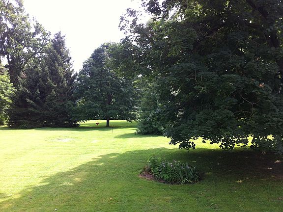 The Backyard