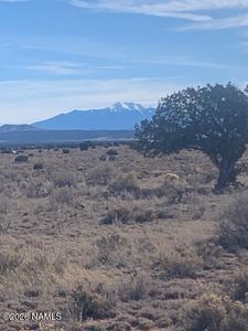 1546 E Pine Rd, Williams, AZ, 86046