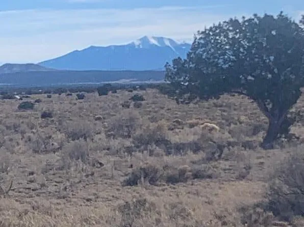 1546 E Pine Rd, Williams, AZ 86046