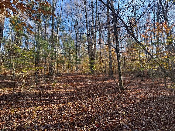 4th image of 83 Stephen Rd