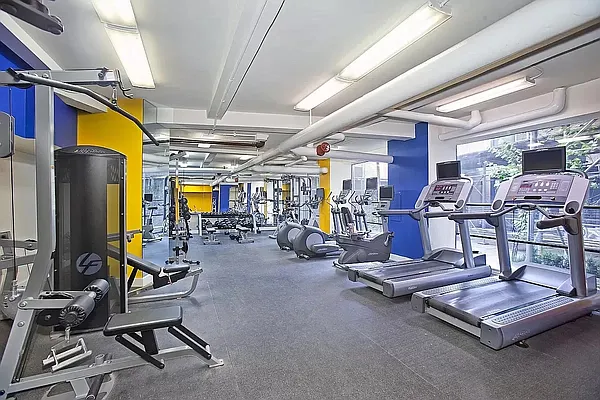 Rented by Douglas Elliman | media 22