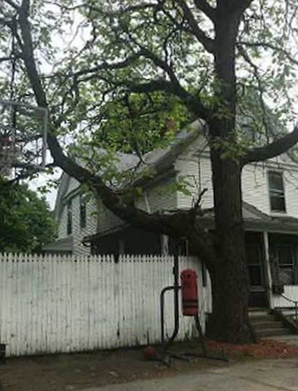 2nd image of 42 Nutting St