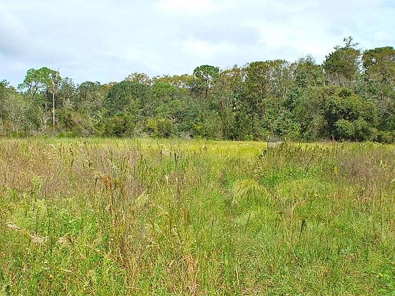 Mixture of pasture & trees