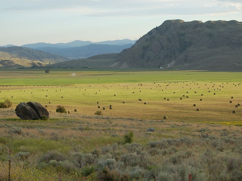 A few pictures taken from the east side of AVR looking to the west (1)