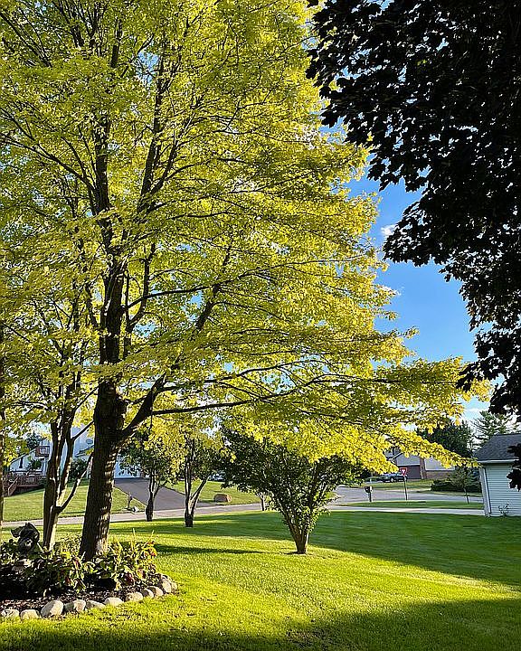 2nd image of 8654 Andorra Ct
