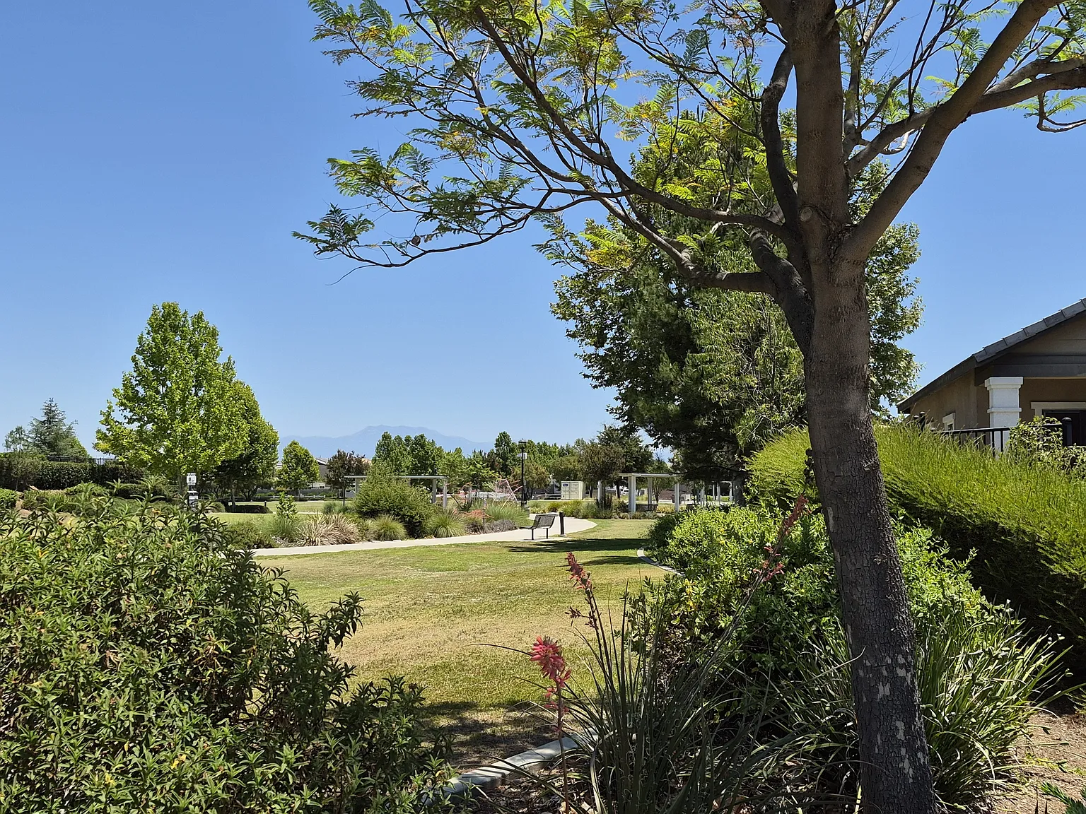 31810 Ives Court - 1 — Photo 3