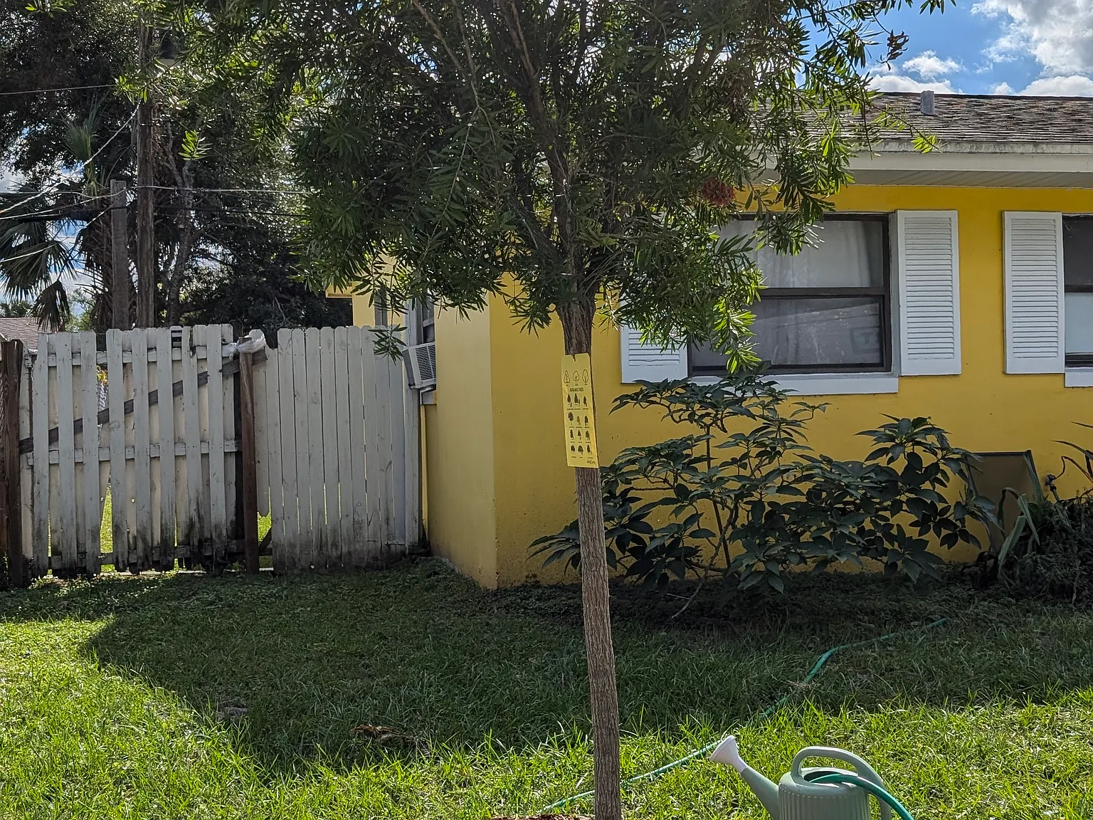 3 bed, 1083 sqft, $1,675 — Photo 4