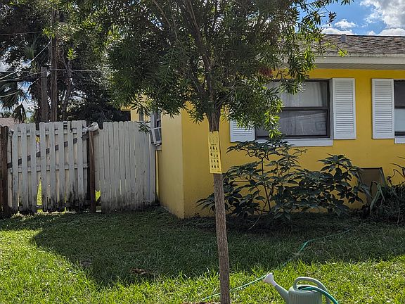 Bottlebrush tree