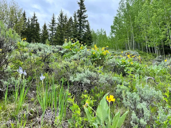 TBD GCR 130, Kremmling, CO 80459