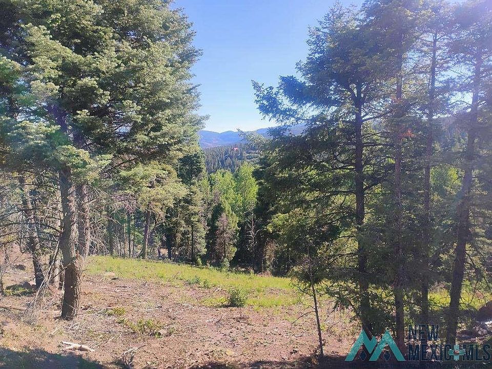 2nd image of Vail Loop