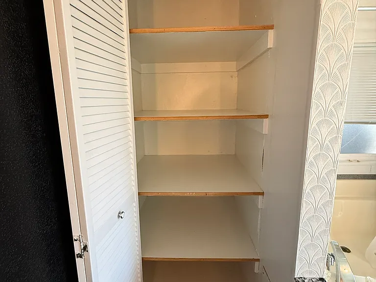 Master Bathroom Closet