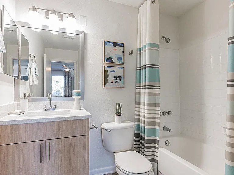 The Pointe at Carrollwood — Photo 11