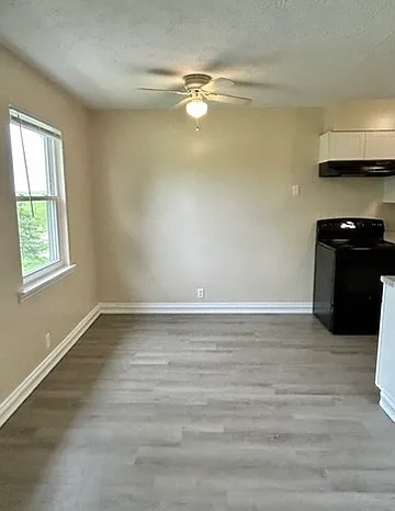 1605 Steadmantown Ln #4 — Photo 6