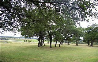 4th image of 854 County Road 4155