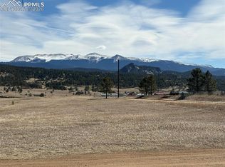383 Calle Del Sol, Florissant, CO 80816