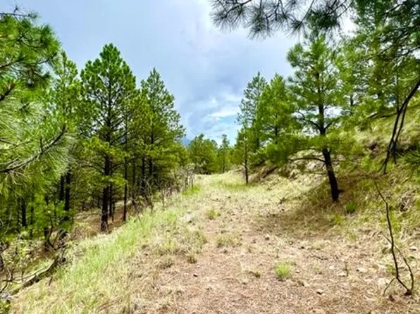 4 Cerro Redondo, Jemez Springs, NM 87025