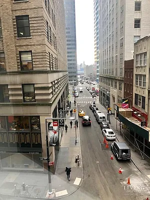 Rented by NY Living Solutions | media 50