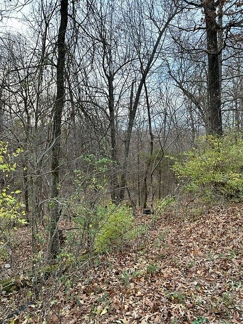 2nd image of N Hamestring Rd