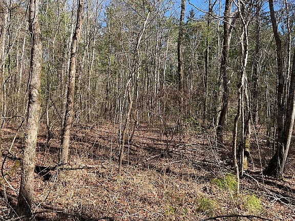 3rd image of 2300 Vickery Rd