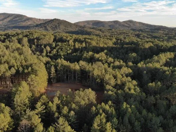 Stanley Marlow Ln, Oneida, TN 37841