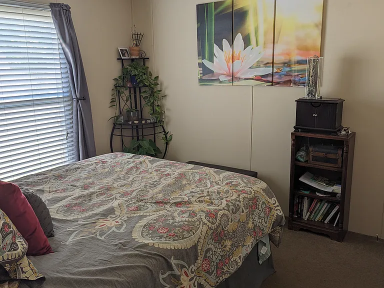 24 Blue Spruce Ln — Photo 6