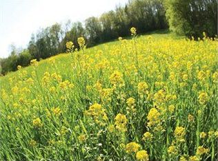 1165 Milky Way Ln, Forest, VA 24551