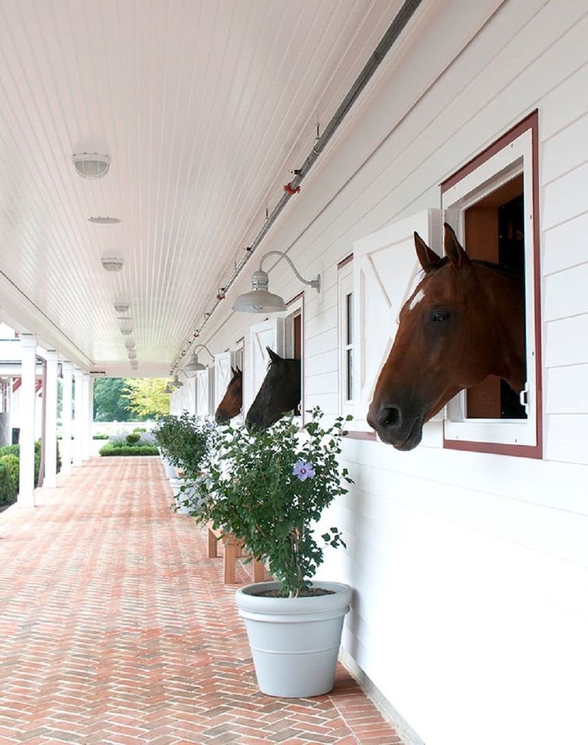  Campbell Stables