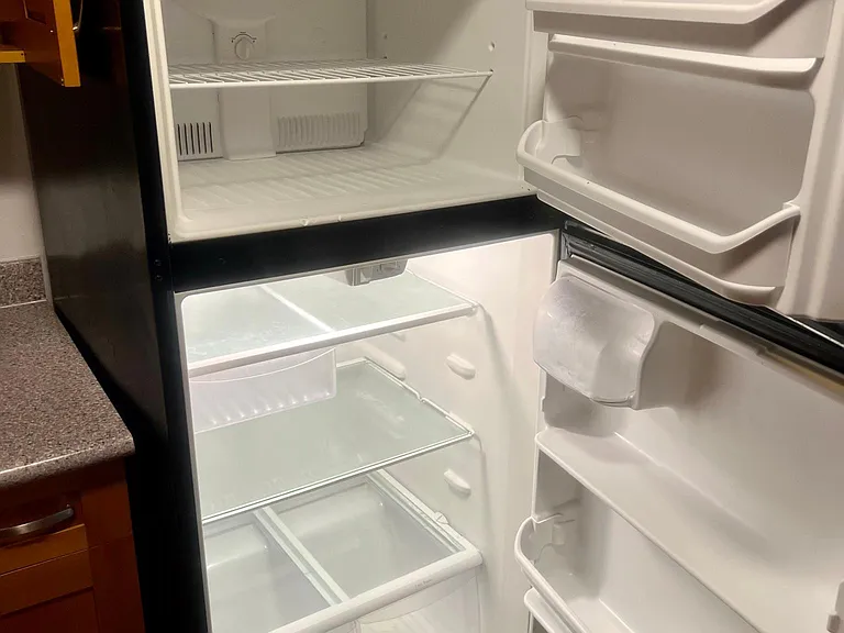 Clean SS appliances
