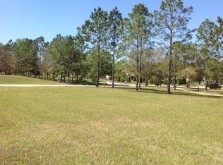 30100 Bretton Loop, Mount Dora, FL 32757