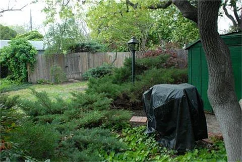 Private Back Yard