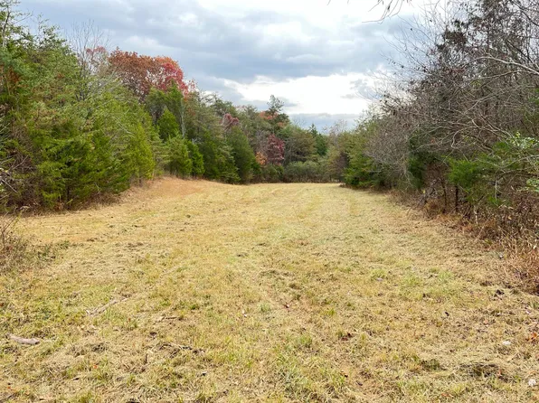 160 Buzzard Roost Rd, Bulls Gap, TN 37711