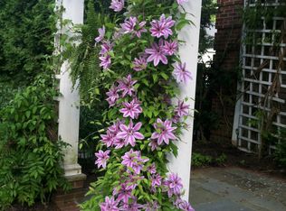 5 Melrose Ln, Mendham, NJ 07945