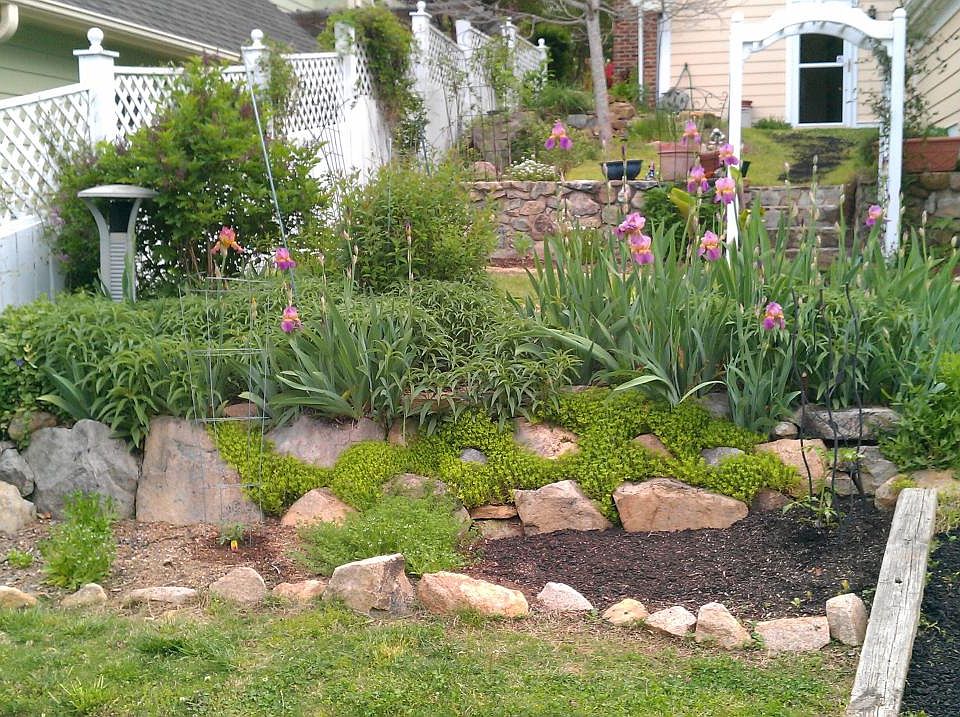 View from the alley way into the back yard
