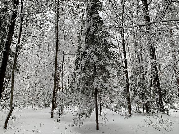 5th image of 0 Brandt Road