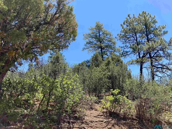 Pd 1781 #U6-tr72, Chama, NM 87520