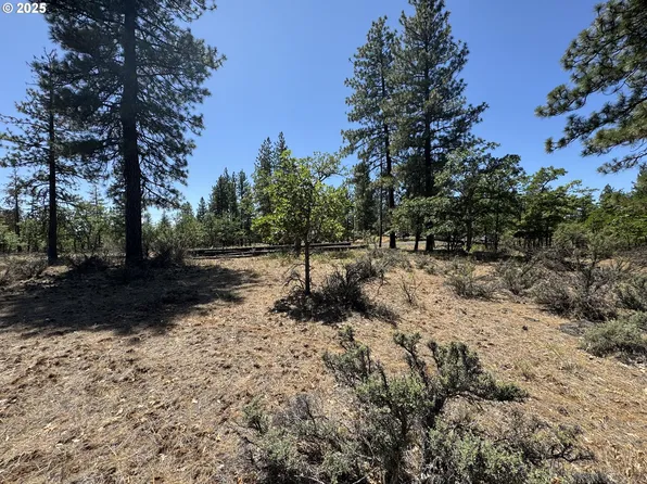 Old Mountain Rd, Goldendale, WA 98620