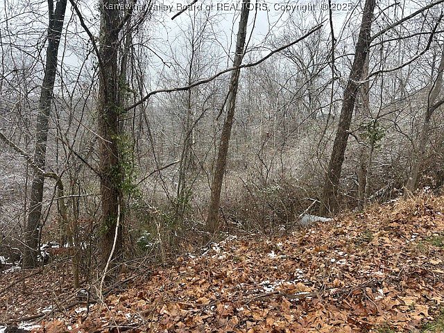 2nd image of 3988 Pinnacle View Rd