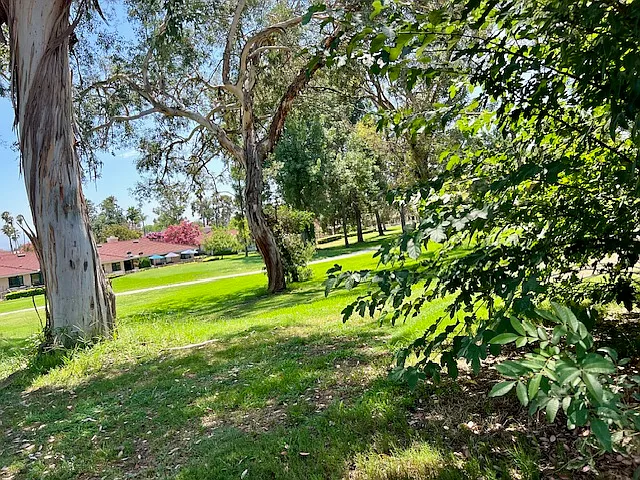 1254 Scenic View St — Photo 2