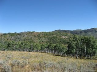 55845 Olive St, Clark, CO 80428