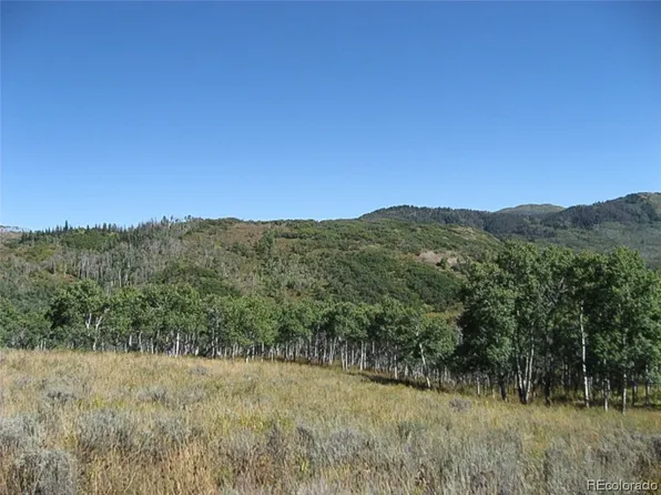 55845 Olive Street, Clark, CO 80428