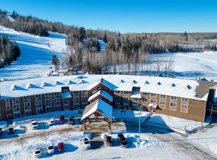 6373 Wynne Creek Dr UNIT 344, Biwabik, MN 55708